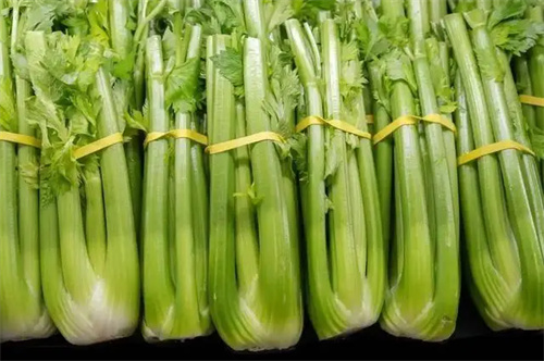 图片细节
